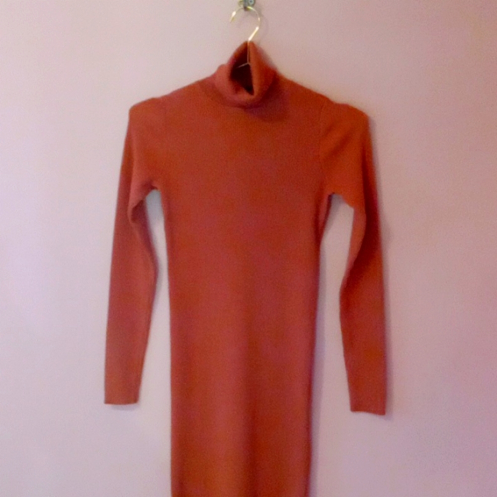 Rocorose , L , Orange.